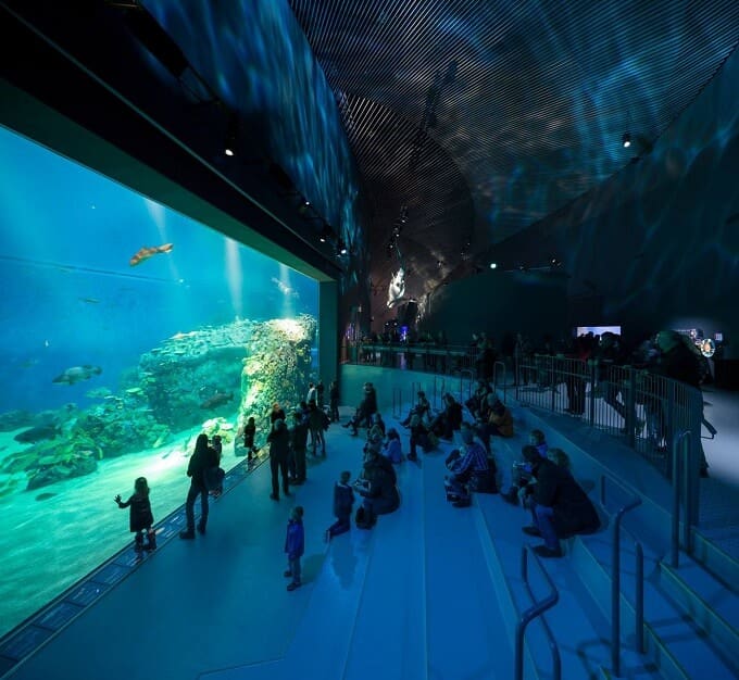 Northern Europe’s Largest Aquarium Opened in Copenhagen Interior