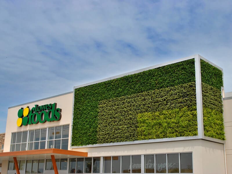Lowes Foods, natural garden perfect combination on the building design