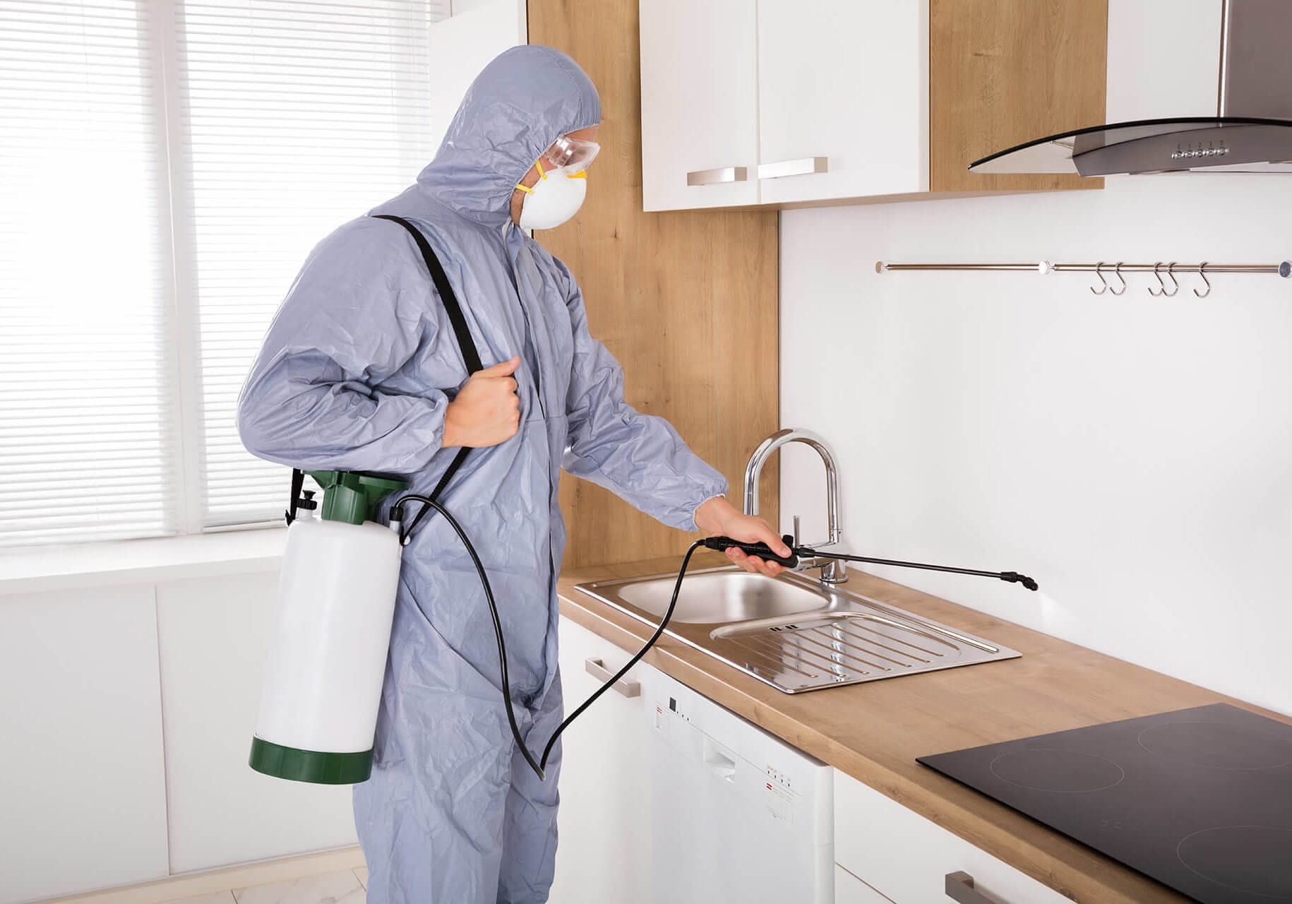 Pest control and the Precautions before Procedure