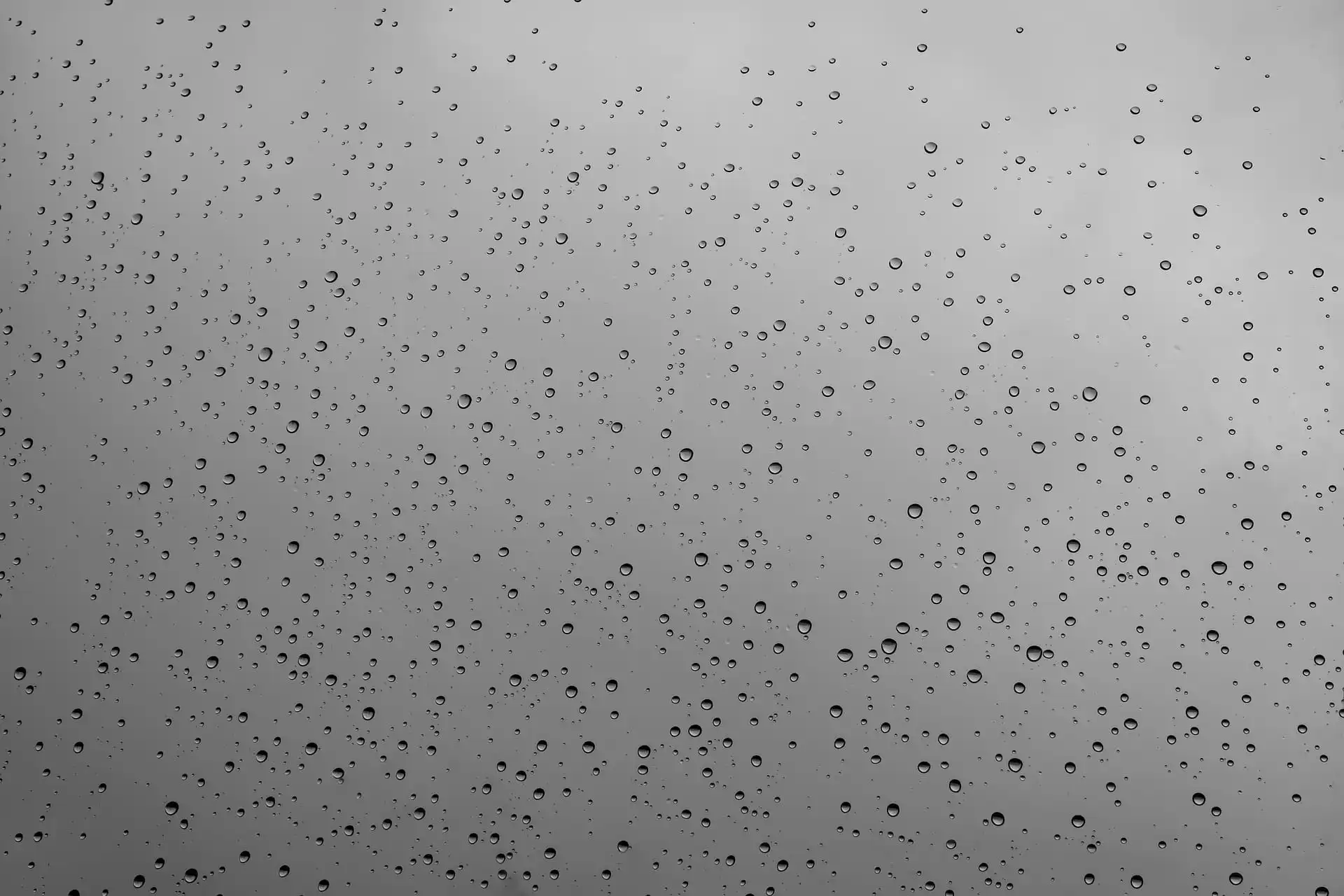 A brief guide to dealing with resilient moisture